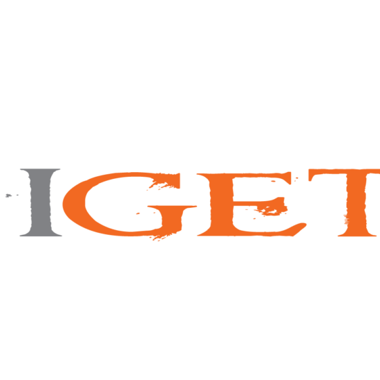 logo IGETIS